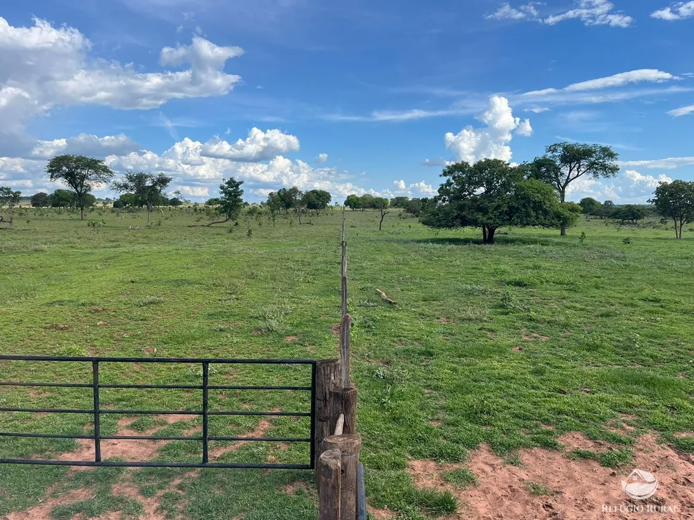 Fazenda, 3004 hectares - Foto 7