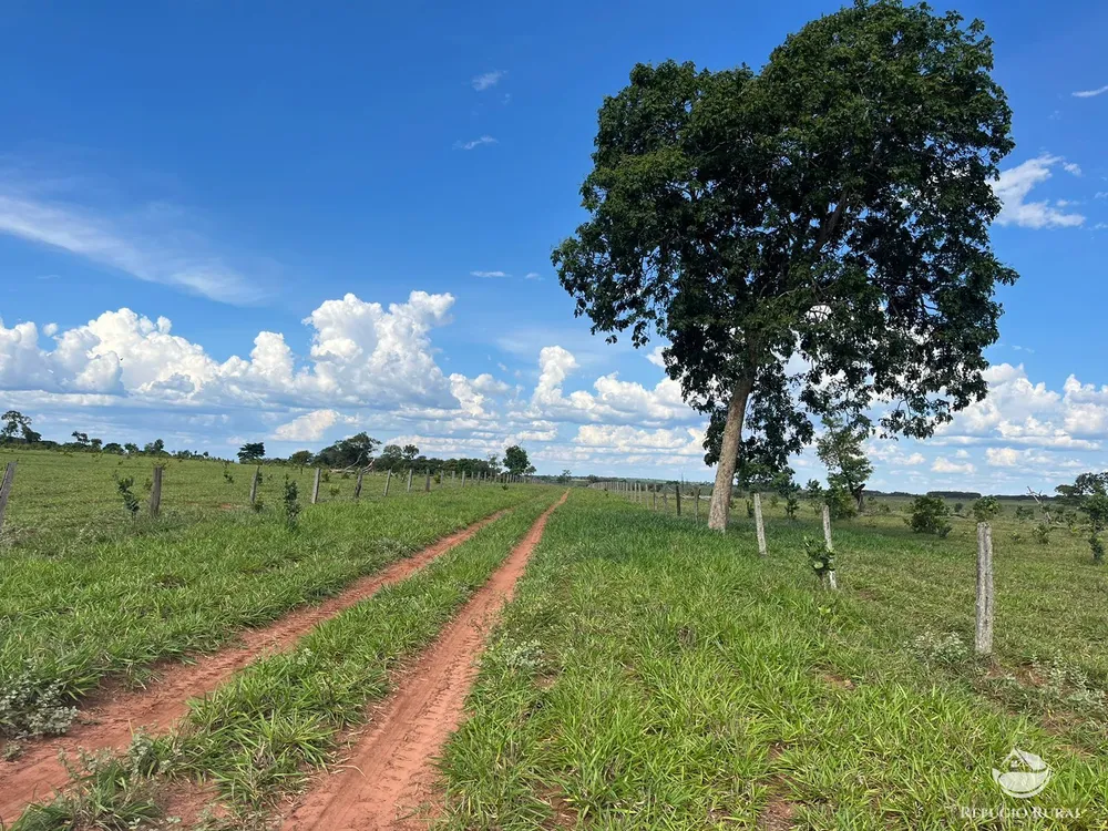 Fazenda, 3004 hectares - Foto 8
