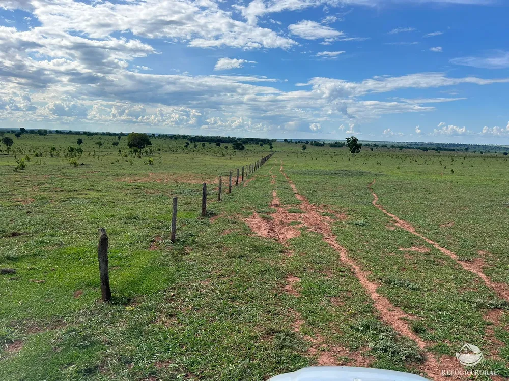 Fazenda, 3004 hectares - Foto 14