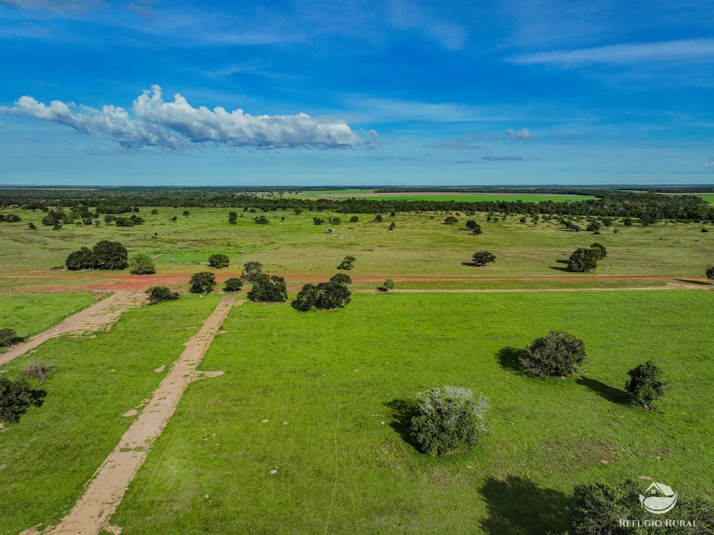 Fazenda, 3004 hectares - Foto 4