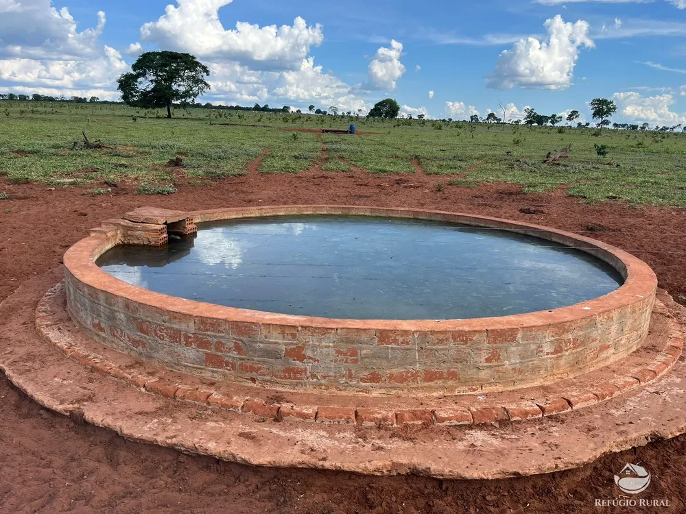 Fazenda, 3004 hectares - Foto 15