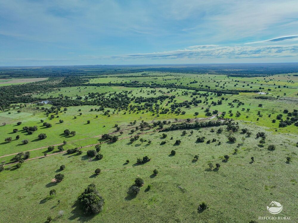 Fazenda, 3004 hectares - Foto 3