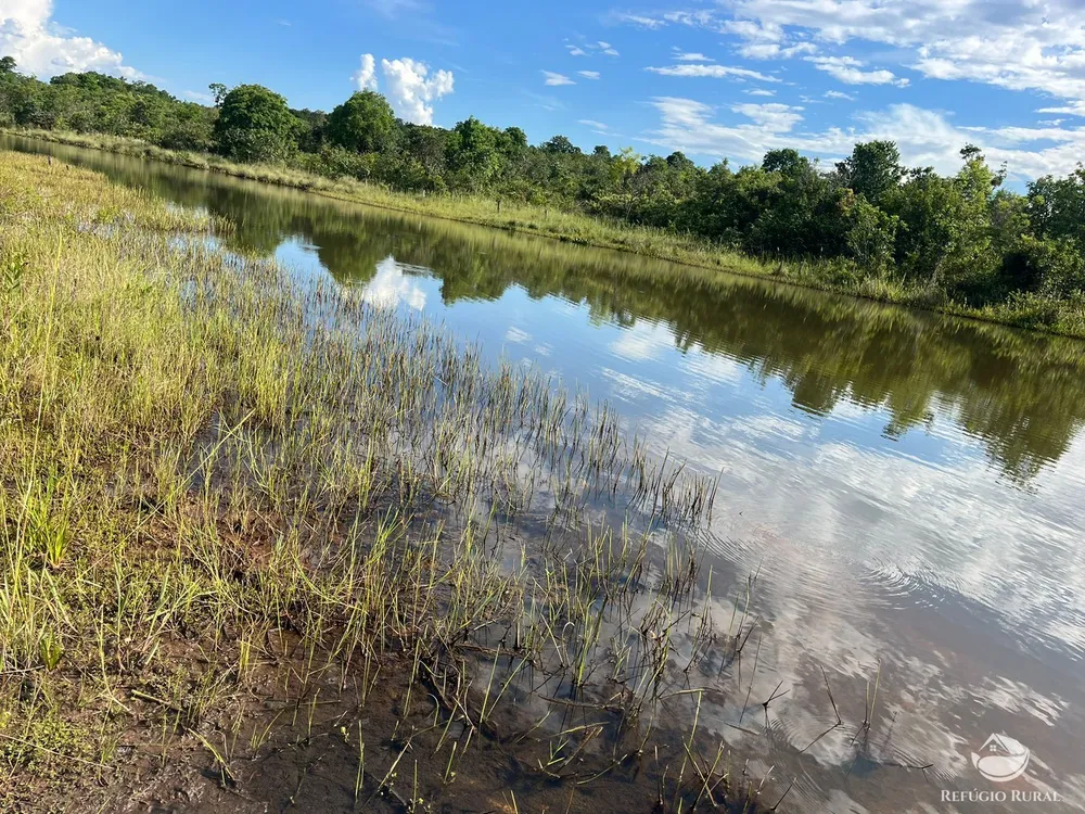 Fazenda, 3004 hectares - Foto 10