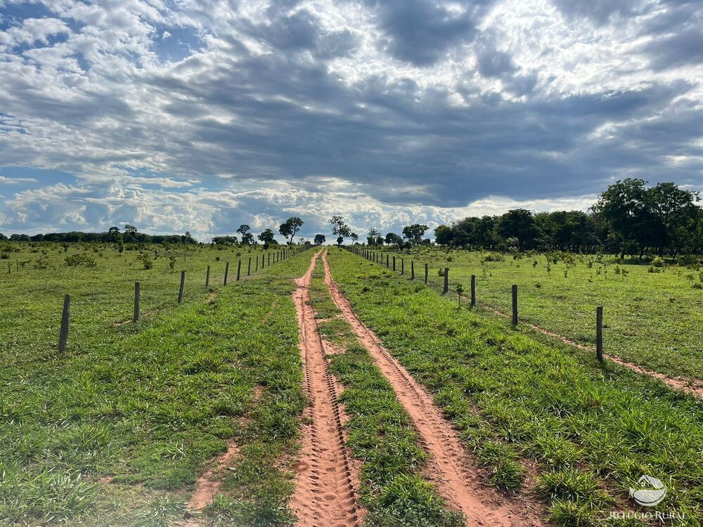 Fazenda, 3004 hectares - Foto 2