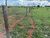 Fazenda-Sítio-Chácara, 3004 hectares - Foto 4