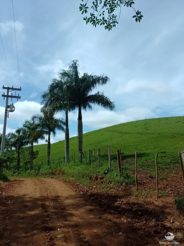 Fazenda, 332 hectares - Foto 8