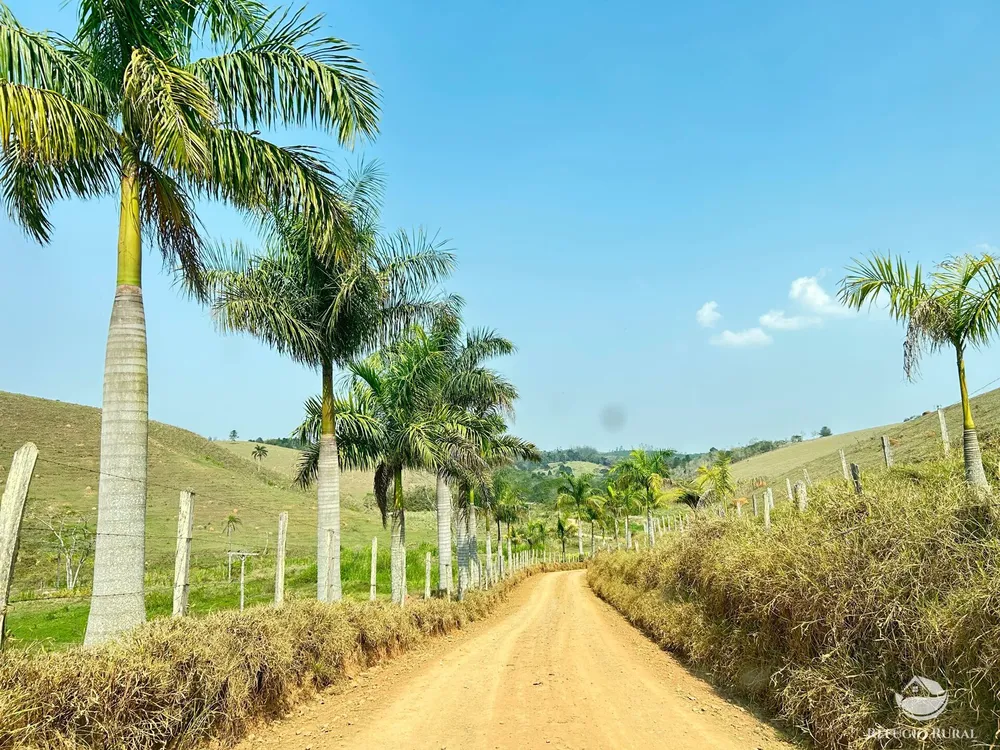 Fazenda, 332 hectares - Foto 1