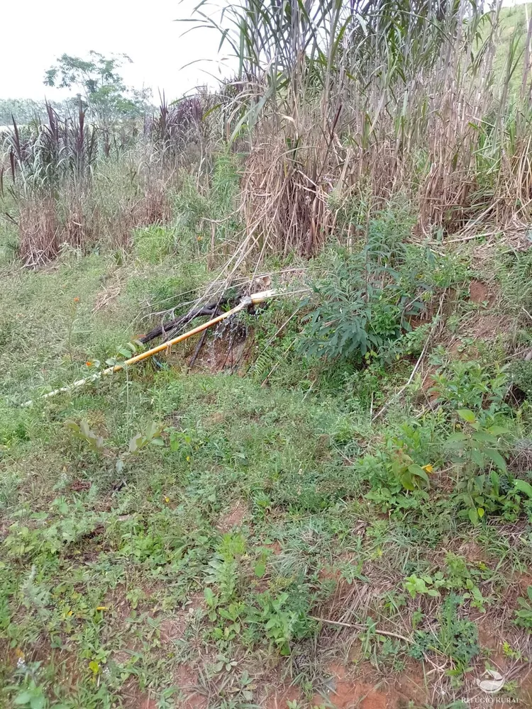 Fazenda, 332 hectares - Foto 11