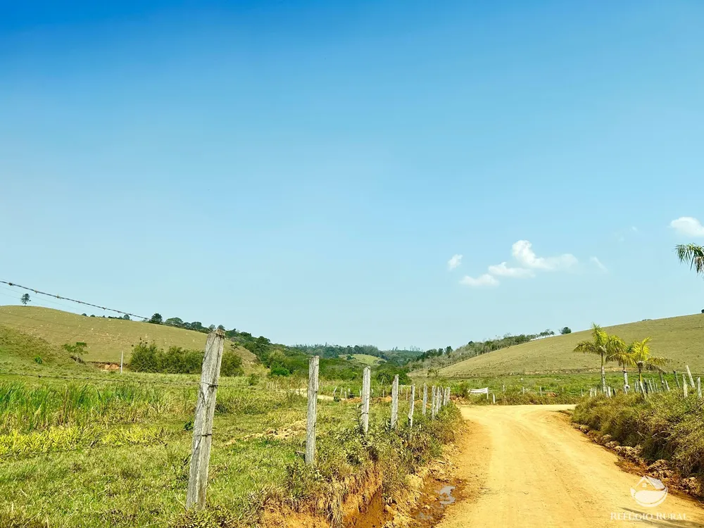 Fazenda, 332 hectares - Foto 20