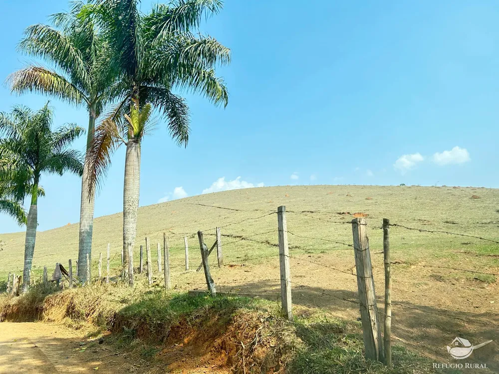 Fazenda, 332 hectares - Foto 16