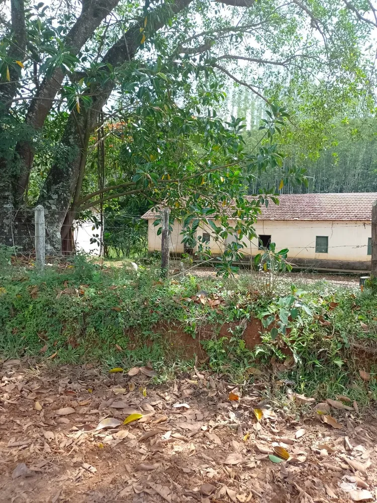 Fazenda, 332 hectares - Foto 7
