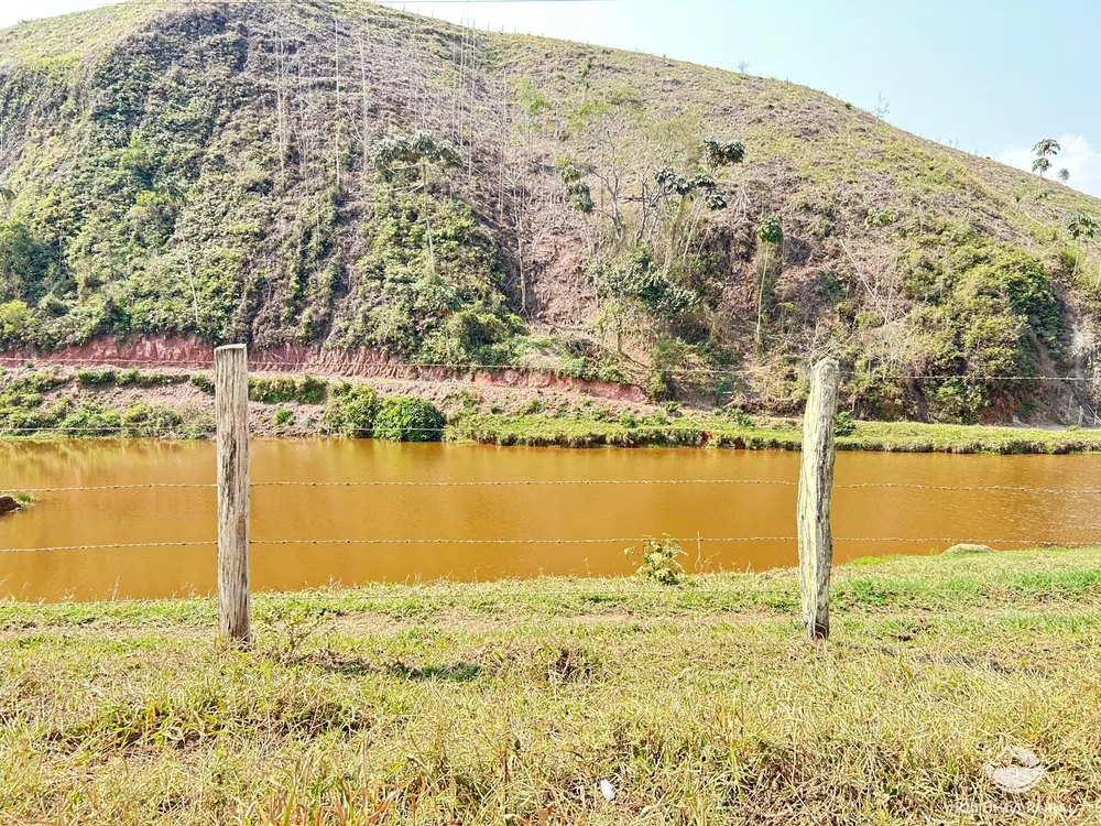 Fazenda, 332 hectares - Foto 4