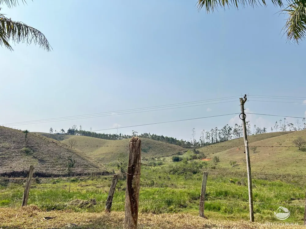 Fazenda, 332 hectares - Foto 6