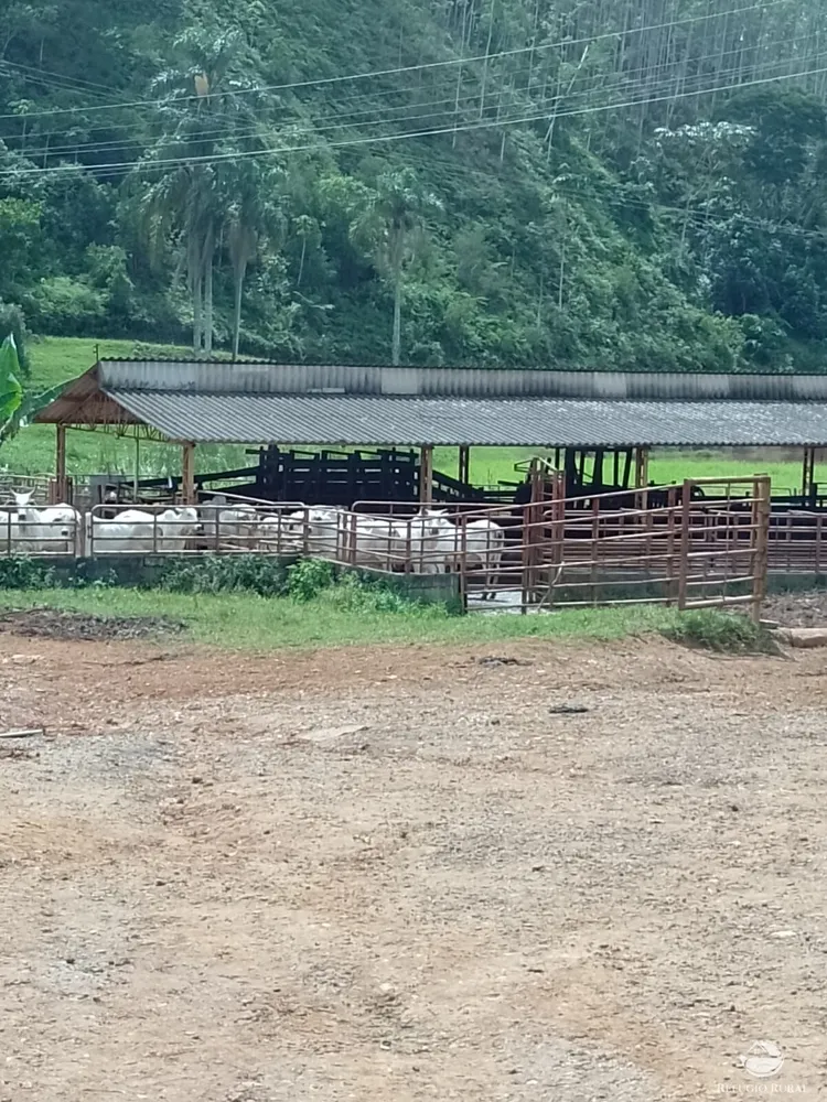 Fazenda, 332 hectares - Foto 9