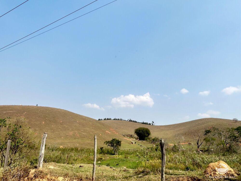 Fazenda à venda com 1 quarto, 3315400m² - Foto 5