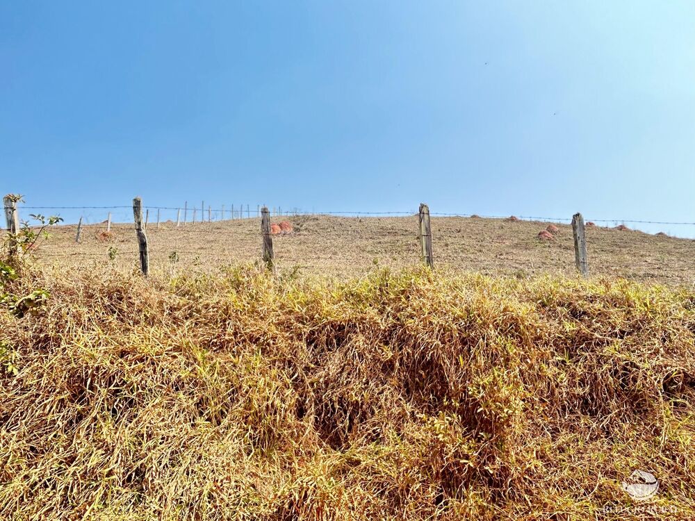 Fazenda à venda com 1 quarto, 3315400m² - Foto 6