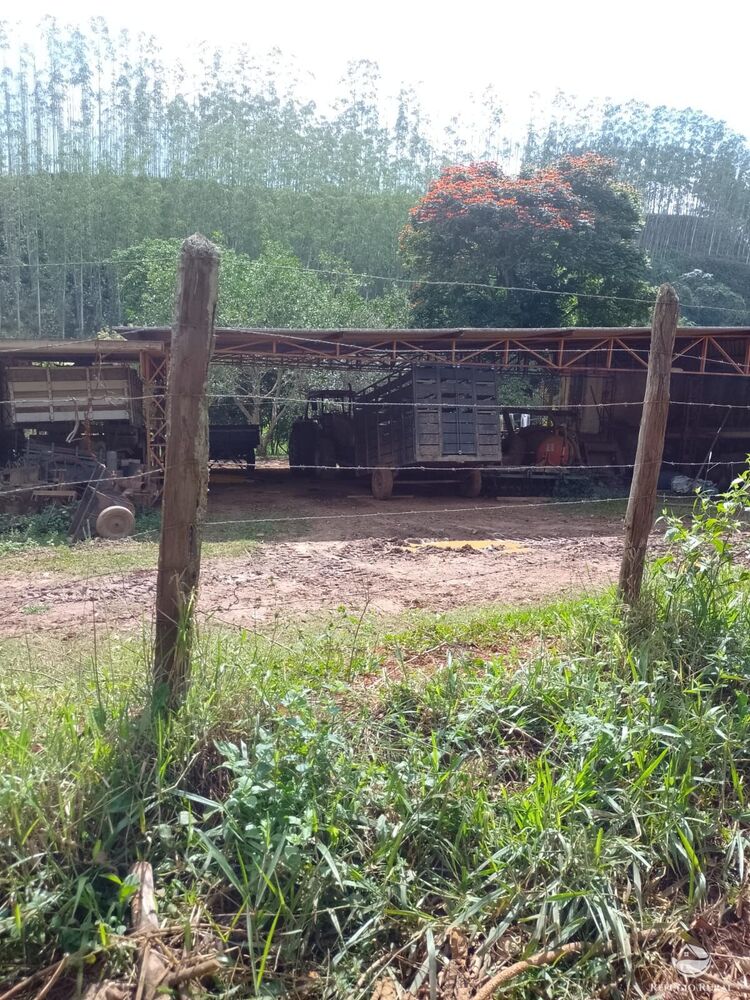 Fazenda à venda com 1 quarto, 3315400m² - Foto 4