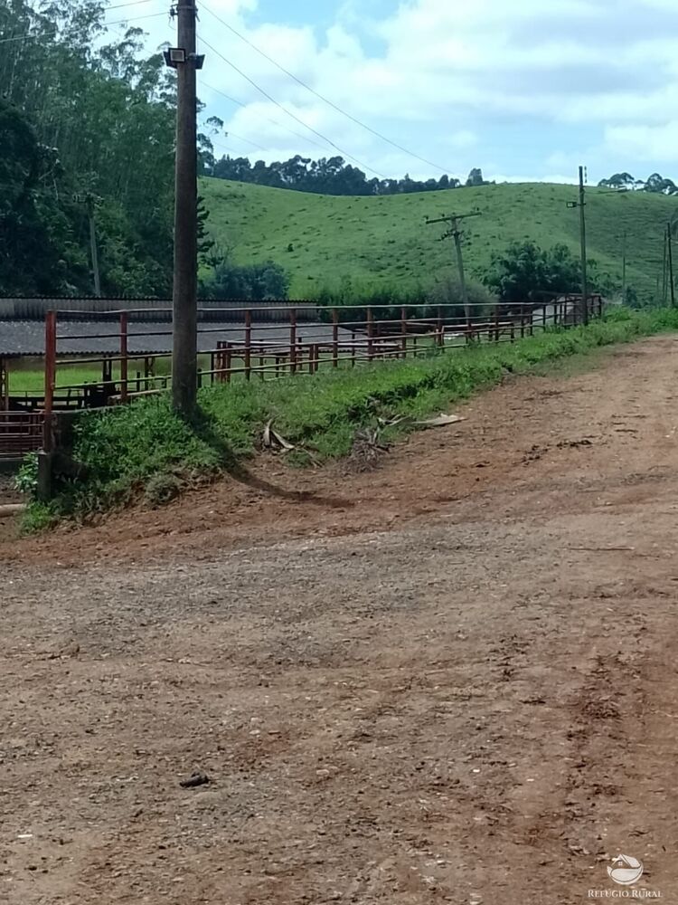 Fazenda à venda com 1 quarto, 3315400m² - Foto 3