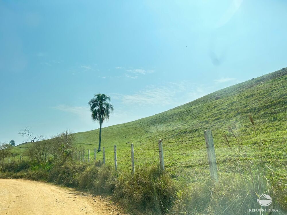 Fazenda à venda com 1 quarto, 3315400m² - Foto 8