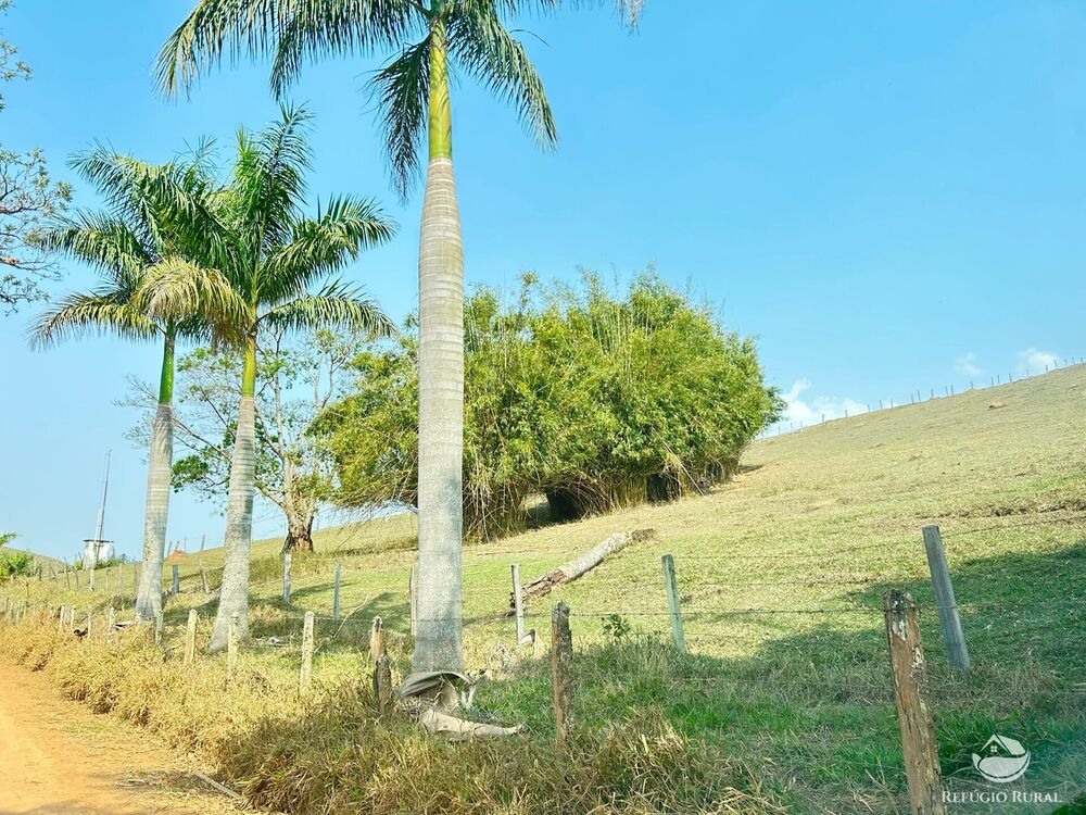 Fazenda à venda com 1 quarto, 3315400m² - Foto 7