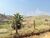 Fazenda-Sítio-Chácara, 332 hectares - Foto 1