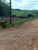 Fazenda-Sítio-Chácara, 332 hectares - Foto 3