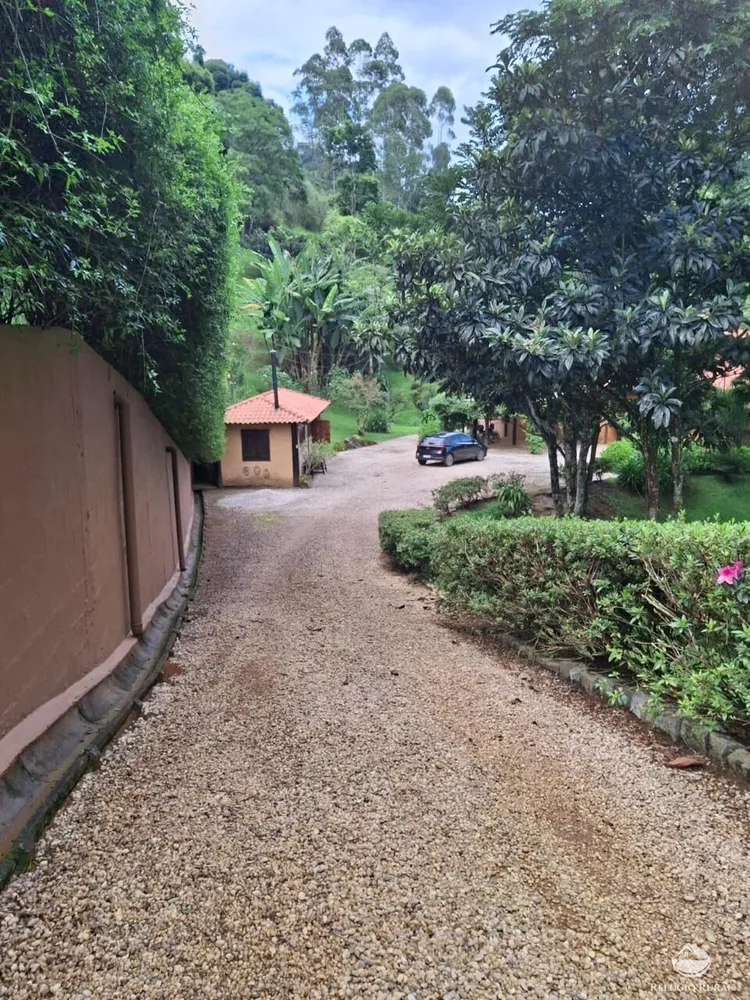Sítio, 7 hectares - Foto 16