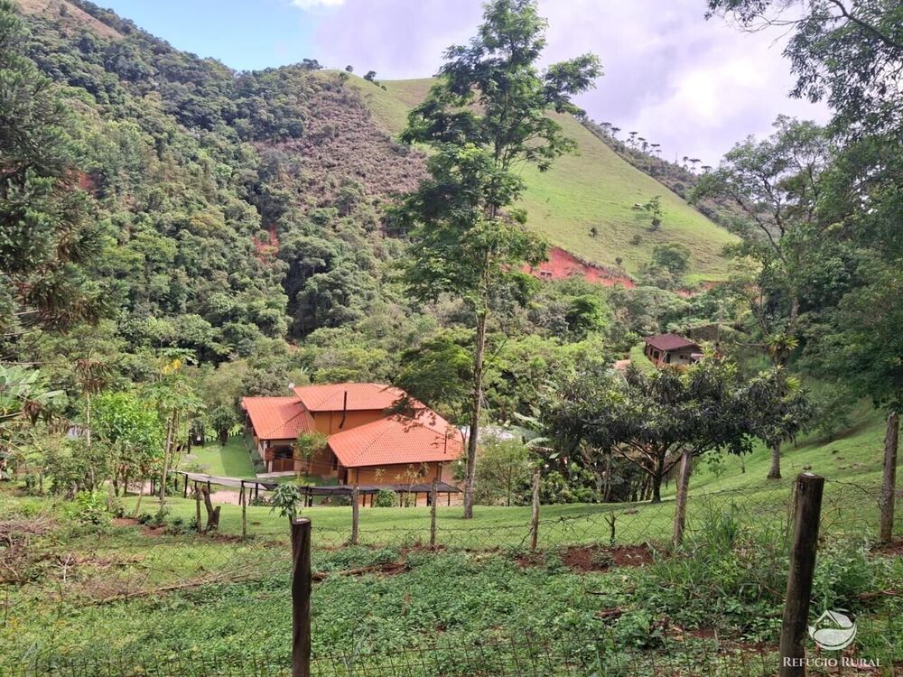 Sítio, 7 hectares - Foto 7