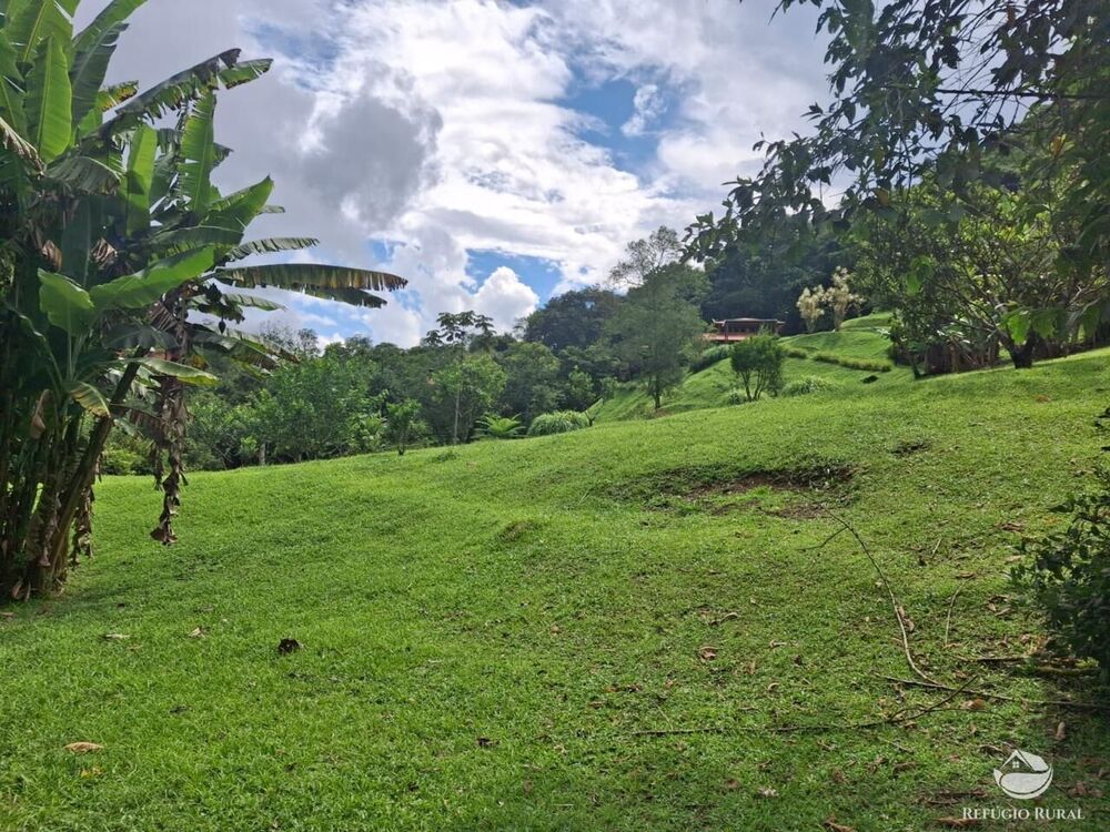 Sítio, 7 hectares - Foto 6