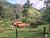 Sítio, 6 quartos, 7 hectares - Foto 4