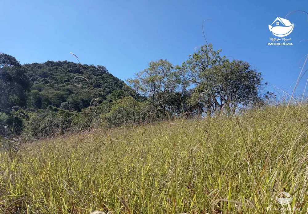 Terreno, 2 hectares - Foto 6