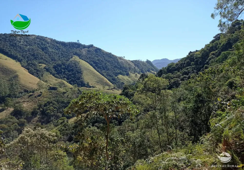 Terreno, 2 hectares - Foto 9