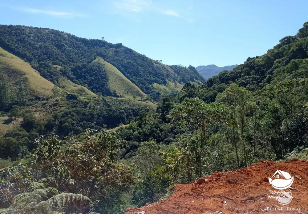 Terreno, 2 hectares - Foto 7