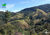 Terreno, 2 hectares - Foto 3