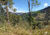 Terreno, 2 hectares - Foto 2