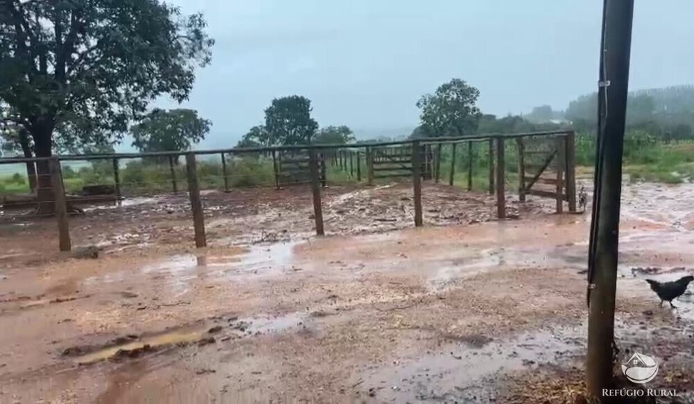 Fazenda à venda com 3 quartos, 1350000m² - Foto 6