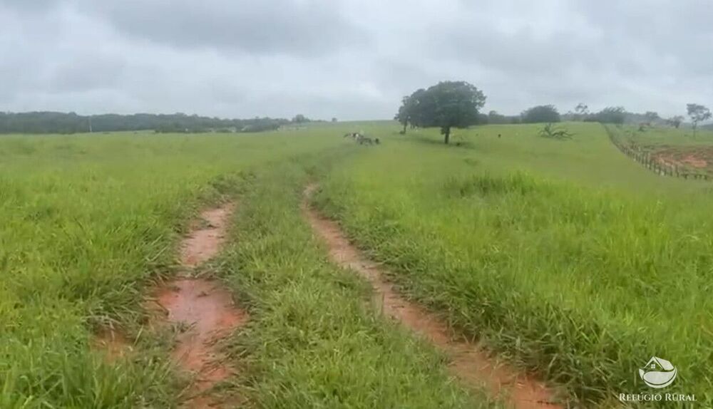 Fazenda à venda com 3 quartos, 1350000m² - Foto 2