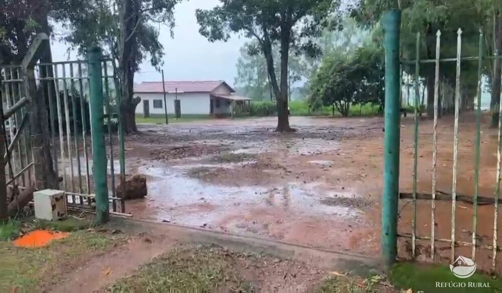 Fazenda à venda com 3 quartos, 1350000m² - Foto 5