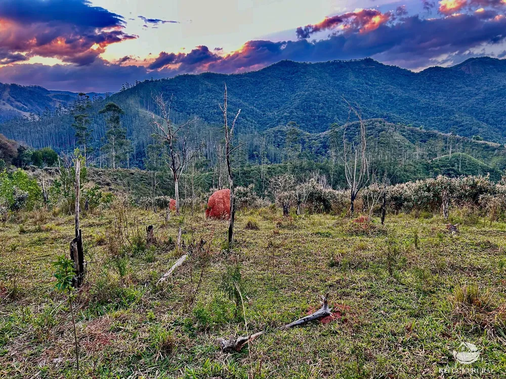 Sítio, 70 hectares - Foto 19