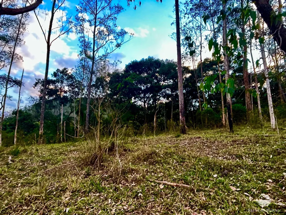 Sítio, 70 hectares - Foto 17