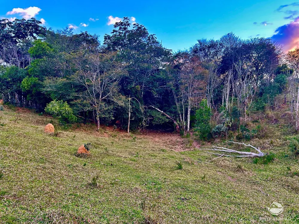 Sítio, 70 hectares - Foto 14
