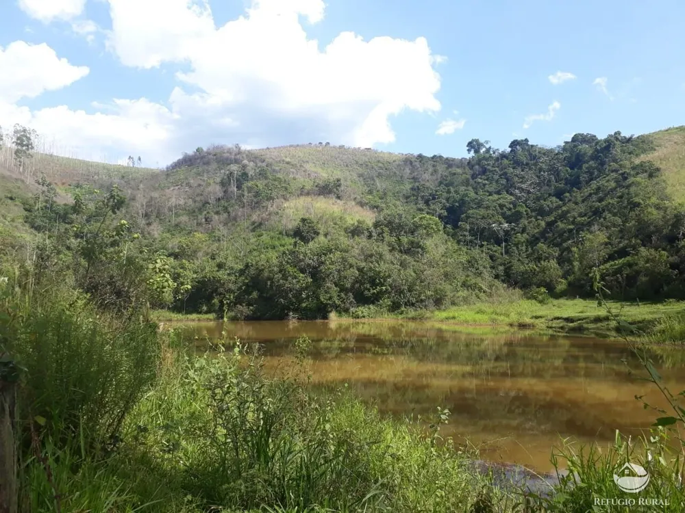Sítio, 70 hectares - Foto 18