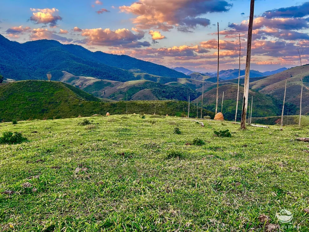 Sítio, 70 hectares - Foto 13