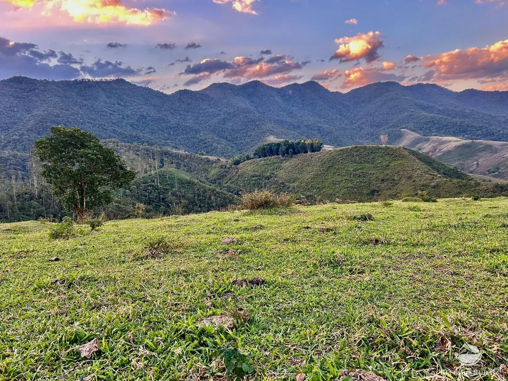 Sítio, 70 hectares - Foto 23