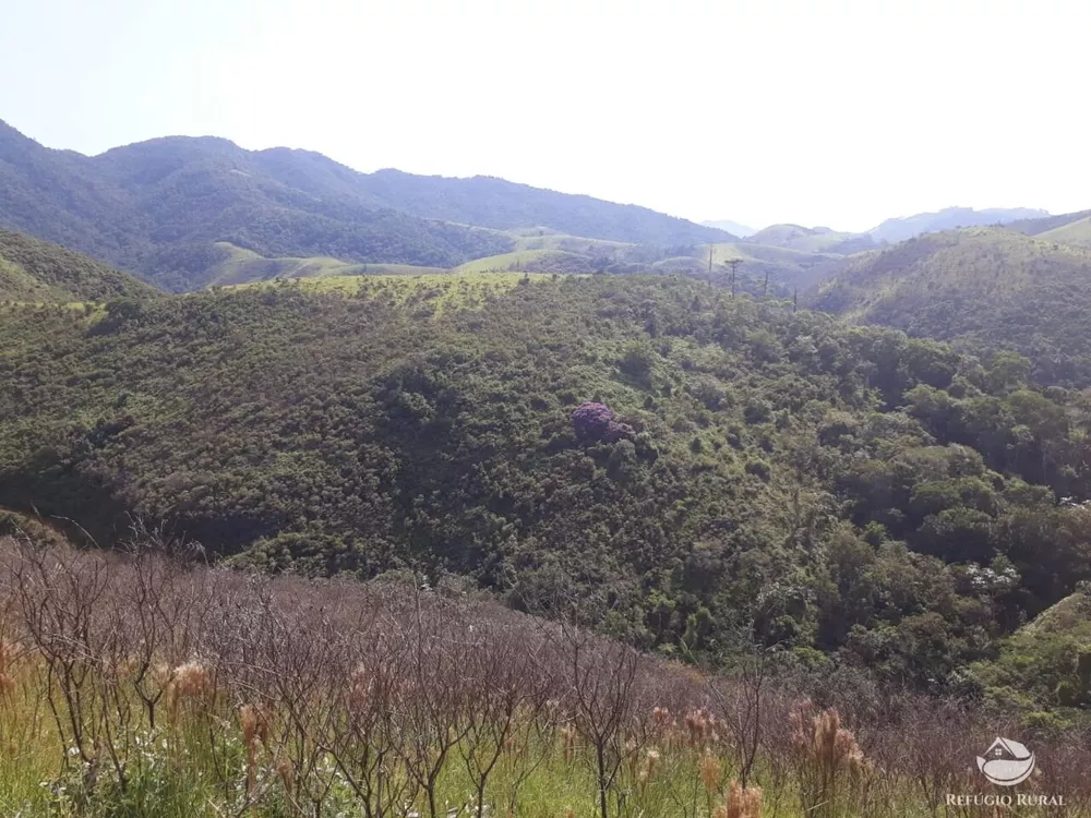 Sítio, 70 hectares - Foto 11