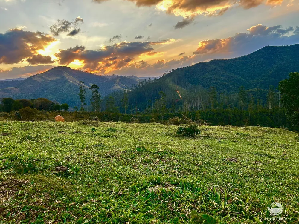 Sítio, 70 hectares - Foto 4