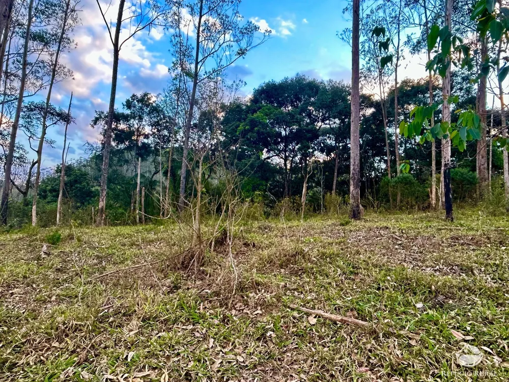 Sítio, 70 hectares - Foto 10