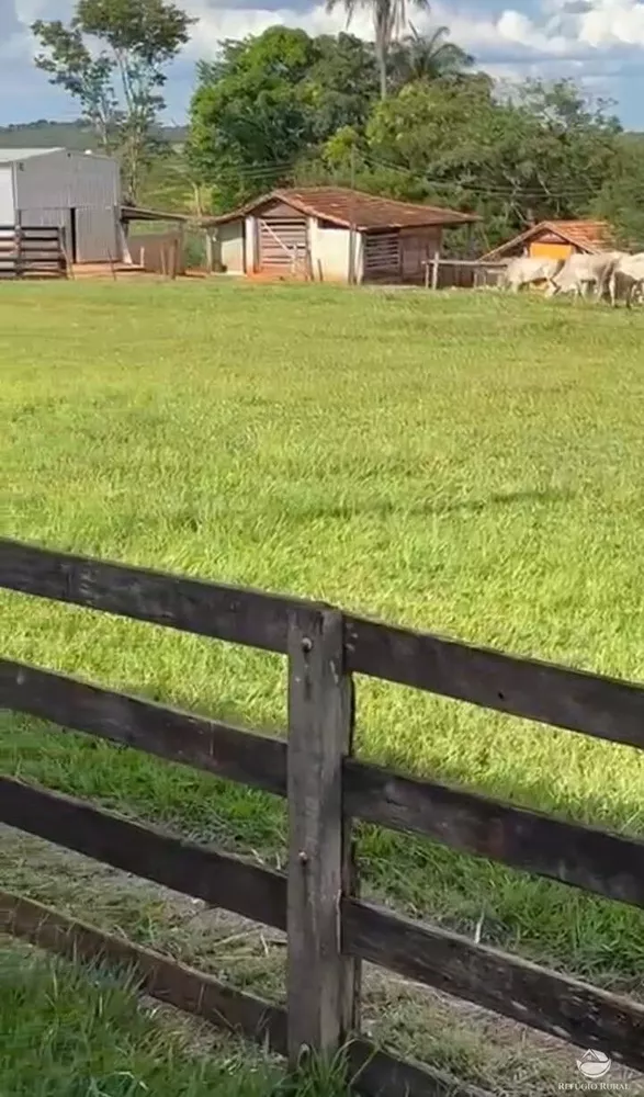 Fazenda, 1260 hectares - Foto 4