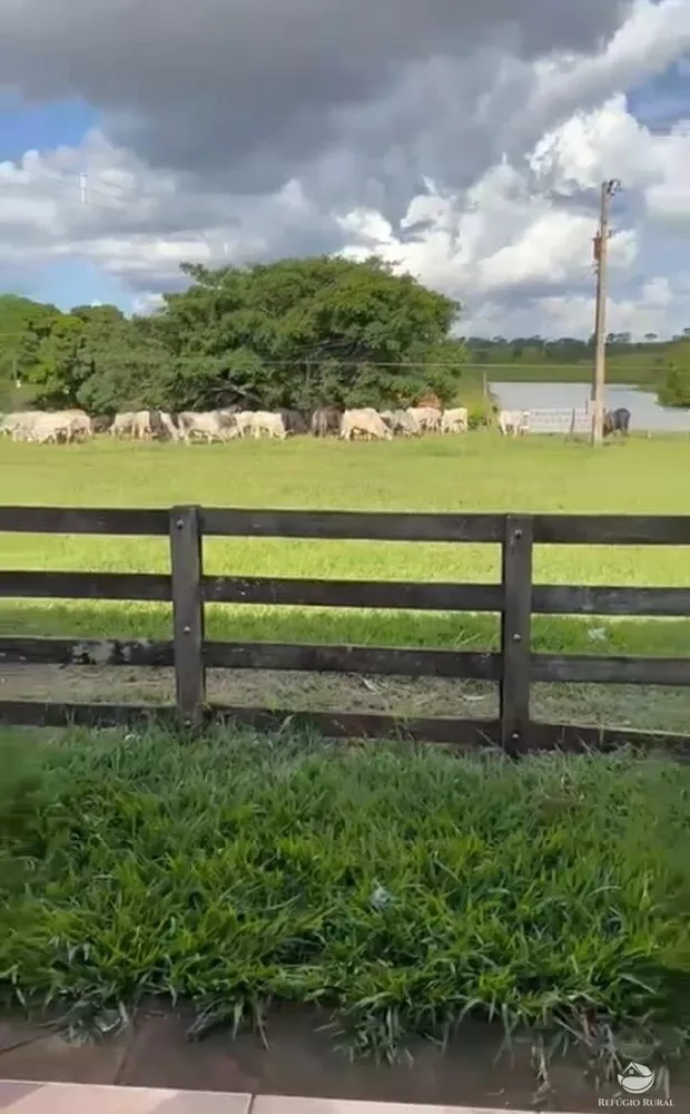 Fazenda, 1260 hectares - Foto 3