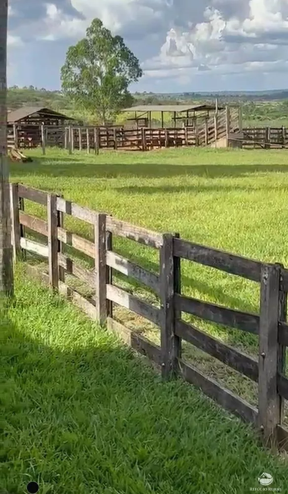 Fazenda, 1260 hectares - Foto 2